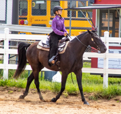 2021-8-31-9-1-CAYLIE-HORSE-SHOW-MILFORD-218