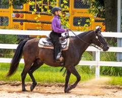 2021-8-31-9-1-CAYLIE-HORSE-SHOW-MILFORD-219