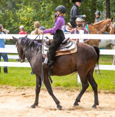 2021-8-31-9-1-CAYLIE-HORSE-SHOW-MILFORD-224