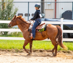 2021-8-31-9-1-CAYLIE-HORSE-SHOW-MILFORD-275