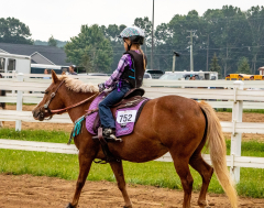 2021-8-31-9-1-CAYLIE-HORSE-SHOW-MILFORD-298