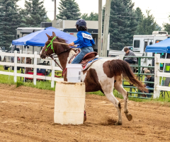 2021-8-31-9-1-CAYLIE-HORSE-SHOW-MILFORD-303