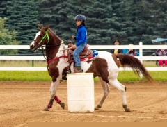 2021-8-31-9-1-CAYLIE-HORSE-SHOW-MILFORD-304