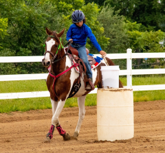 2021-8-31-9-1-CAYLIE-HORSE-SHOW-MILFORD-305