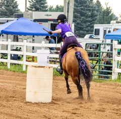 2021-8-31-9-1-CAYLIE-HORSE-SHOW-MILFORD-307