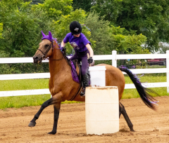 2021-8-31-9-1-CAYLIE-HORSE-SHOW-MILFORD-309