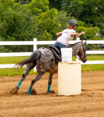 2021-8-31-9-1-CAYLIE-HORSE-SHOW-MILFORD-313