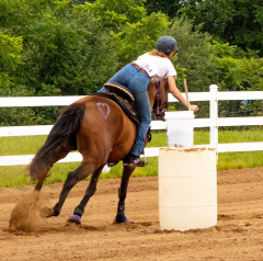 2021-8-31-9-1-CAYLIE-HORSE-SHOW-MILFORD-315