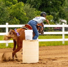 2021-8-31-9-1-CAYLIE-HORSE-SHOW-MILFORD-320