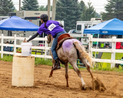 2021-8-31-9-1-CAYLIE-HORSE-SHOW-MILFORD-323