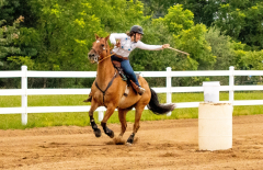 2021-8-31-9-1-CAYLIE-HORSE-SHOW-MILFORD-339