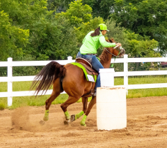 2021-8-31-9-1-CAYLIE-HORSE-SHOW-MILFORD-343