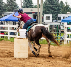 2021-8-31-9-1-CAYLIE-HORSE-SHOW-MILFORD-347