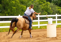 2021-8-31-9-1-CAYLIE-HORSE-SHOW-MILFORD-349