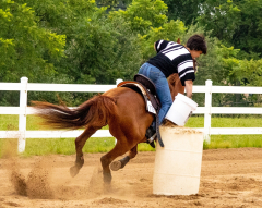 2021-8-31-9-1-CAYLIE-HORSE-SHOW-MILFORD-351