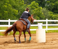 2021-8-31-9-1-CAYLIE-HORSE-SHOW-MILFORD-352