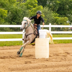 2021-8-31-9-1-CAYLIE-HORSE-SHOW-MILFORD-375