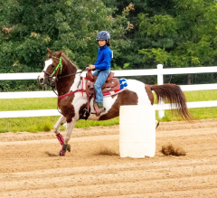2021-8-31-9-1-CAYLIE-HORSE-SHOW-MILFORD-378