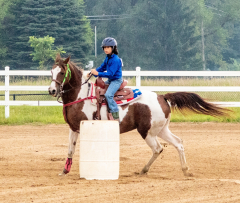 2021-8-31-9-1-CAYLIE-HORSE-SHOW-MILFORD-379