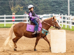 2021-8-31-9-1-CAYLIE-HORSE-SHOW-MILFORD-381