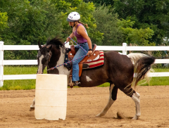 2021-8-31-9-1-CAYLIE-HORSE-SHOW-MILFORD-389