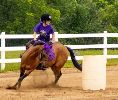 2021-8-31-9-1-CAYLIE-HORSE-SHOW-MILFORD-393