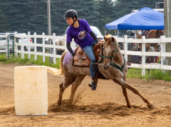 2021-8-31-9-1-CAYLIE-HORSE-SHOW-MILFORD-418