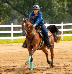 2021-8-31-9-1-CAYLIE-HORSE-SHOW-MILFORD-431