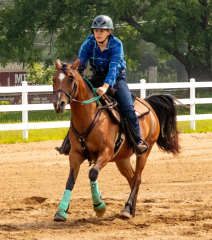 2021-8-31-9-1-CAYLIE-HORSE-SHOW-MILFORD-432