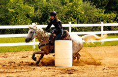 2021-8-31-9-1-CAYLIE-HORSE-SHOW-MILFORD-442