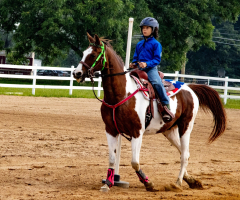 2021-8-31-9-1-CAYLIE-HORSE-SHOW-MILFORD-452