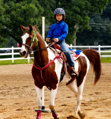 2021-8-31-9-1-CAYLIE-HORSE-SHOW-MILFORD-454