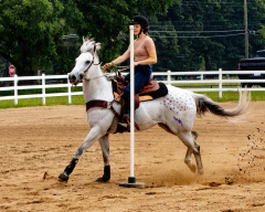 2021-8-31-9-1-CAYLIE-HORSE-SHOW-MILFORD-462
