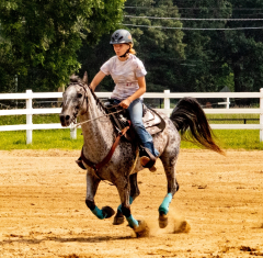 2021-8-31-9-1-CAYLIE-HORSE-SHOW-MILFORD-467