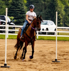 2021-8-31-9-1-CAYLIE-HORSE-SHOW-MILFORD-469