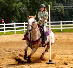 2021-8-31-9-1-CAYLIE-HORSE-SHOW-MILFORD-472