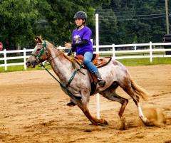 2021-8-31-9-1-CAYLIE-HORSE-SHOW-MILFORD-482