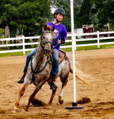 2021-8-31-9-1-CAYLIE-HORSE-SHOW-MILFORD-483