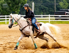 2021-8-31-9-1-CAYLIE-HORSE-SHOW-MILFORD-495