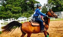 2021-8-31-9-1-CAYLIE-HORSE-SHOW-MILFORD-497