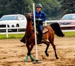 2021-8-31-9-1-CAYLIE-HORSE-SHOW-MILFORD-500