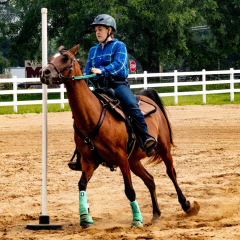 2021-8-31-9-1-CAYLIE-HORSE-SHOW-MILFORD-506