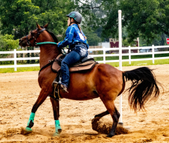 2021-8-31-9-1-CAYLIE-HORSE-SHOW-MILFORD-507