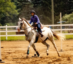 2021-8-31-9-1-CAYLIE-HORSE-SHOW-MILFORD-512