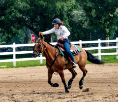 2021-8-31-9-1-CAYLIE-HORSE-SHOW-MILFORD-522
