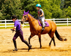 2021-8-31-9-1-CAYLIE-HORSE-SHOW-MILFORD-532
