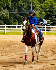2021-8-31-9-1-CAYLIE-HORSE-SHOW-MILFORD-534