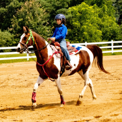 2021-8-31-9-1-CAYLIE-HORSE-SHOW-MILFORD-535
