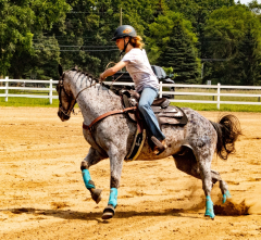 2021-8-31-9-1-CAYLIE-HORSE-SHOW-MILFORD-538