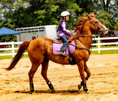 2021-8-31-9-1-CAYLIE-HORSE-SHOW-MILFORD-542